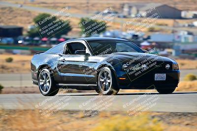 media/Nov-16-2024-Extreme Speed (Sat) [[6587d07cc4]]/Gold Group/Session 1 (Turn 2)/